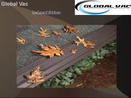 Leaf guard Brisbane