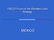 OECD Forum on the Restated Jobs Strategy    MEXICO