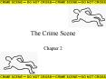 The Crime Scene PowerPoint PPT Presentation