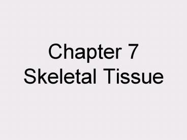 Chapter 7 Skeletal Tissue