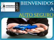El seguro de auto