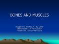 BONES AND MUSCLES PowerPoint PPT Presentation