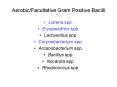 Aerobic/Facultative Gram Positive Bacilli PowerPoint PPT Presentation