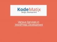 Various Services in WordPress-Development