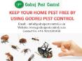 Termite treatment Delhi | Godrej Pest Control PowerPoint PPT Presentation