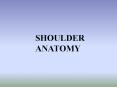 Shoulder Anatomy PowerPoint PPT Presentation