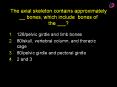 The axial skeleton contains approximately __ bones, which include bones of the ___? PowerPoint PPT Presentation