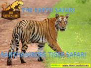 Places to See in Ranthambore National Park