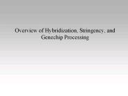 Overview%20of%20Hybridization,%20Stringency,%20and%20Genechip%20Processing