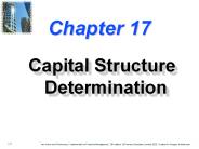 Capital Structure Determination