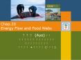 Chap.20 Energy Flow and Food Webs PowerPoint PPT Presentation