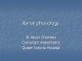Renal physiology PowerPoint PPT Presentation