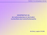 HOOFDSTUK XII: