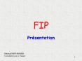 FIP PowerPoint PPT Presentation