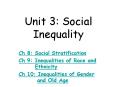 Unit 3: Social Inequality PowerPoint PPT Presentation