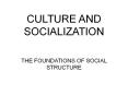 CULTURE AND SOCIALIZATION PowerPoint PPT Presentation