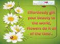 Send Flowers to India PowerPoint PPT Presentation
