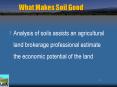 What Makes Soil Good PowerPoint PPT Presentation