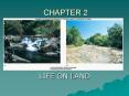 LIFE ON LAND PowerPoint PPT Presentation
