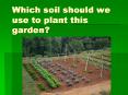 Which soil should we use to plant this garden? PowerPoint PPT Presentation