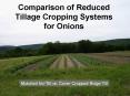 Comparison of Reduced Tillage Cropping Systems for Onions PowerPoint PPT Presentation