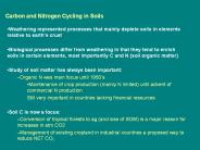 Carbon and Nitrogen Cycling in Soils