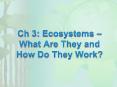 Ch 3: Ecosystems  PowerPoint PPT Presentation