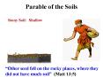 Parable of the Soils PowerPoint PPT Presentation