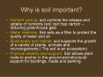 Why is soil important? PowerPoint PPT Presentation