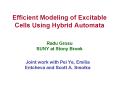 Efficient Modeling of Excitable Cells Using Hybrid Automata  Radu Grosu SUNY at Stony Brook PowerPoint PPT Presentation