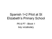 Spanish 1 2 Pilot at St Elizabeth