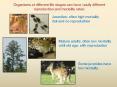 Organisms at different life stages can have vastly different reproduction and mortality rates: PowerPoint PPT Presentation