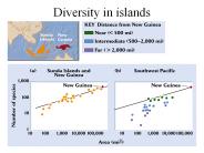 Diversity in islands