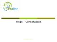 Frogs  PowerPoint PPT Presentation