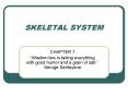 SKELETAL SYSTEM PowerPoint PPT Presentation