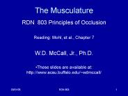 The Musculature