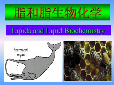 ???????? (Lipids and Lipid Biochemistry)