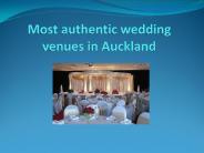 Most authentic wedding venues in Auckland