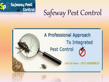 Safeway Pest Control provide environmental-friendly pest control solutions