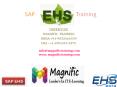 sap ehs online training in Australia PowerPoint PPT Presentation