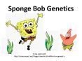 Sponge Bob Genetics PowerPoint PPT Presentation