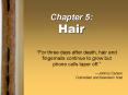 Chapter 5: Hair PowerPoint PPT Presentation