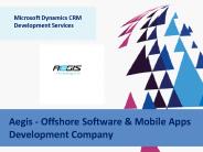 Microsoft Dynamics CRM Software Development Services