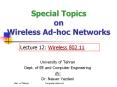 Special Topics on Wireless Ad-hoc Networks PowerPoint PPT Presentation