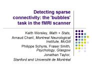 Detecting sparse connectivity: the 'bubbles' task in the fMRI scanner