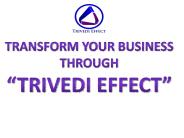 How to Raise Chickens - Poultry Production