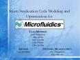 Steam Sterilization Cycle Modeling and Optimization for PowerPoint PPT Presentation