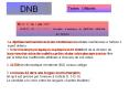 DNB PowerPoint PPT Presentation