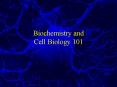 Biochemistry and Cell Biology 101 PowerPoint PPT Presentation