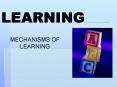 LEARNING PowerPoint PPT Presentation